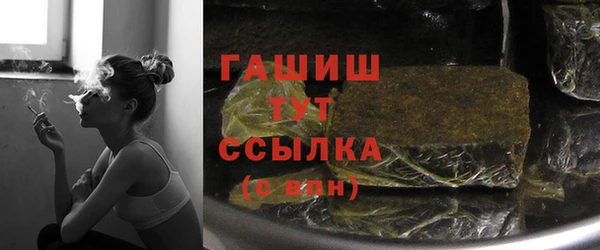сатива Беломорск