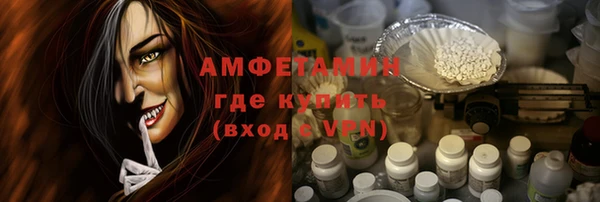 индика Белокуриха