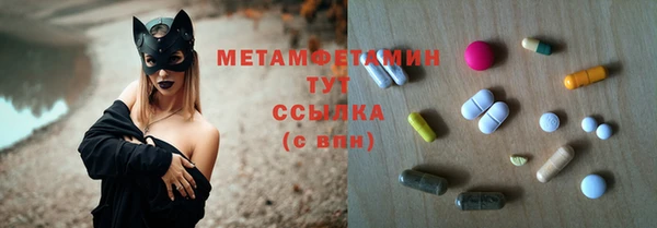 сатива Беломорск