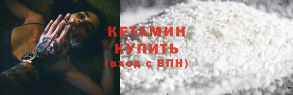 сатива Беломорск
