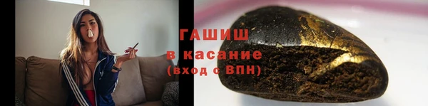 индика Белокуриха