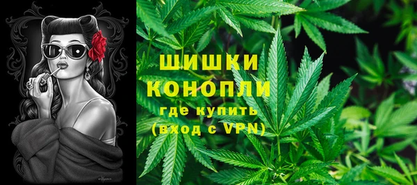 сатива Беломорск