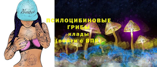 индика Белокуриха