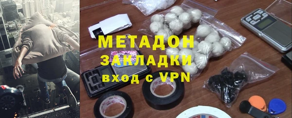 сатива Беломорск