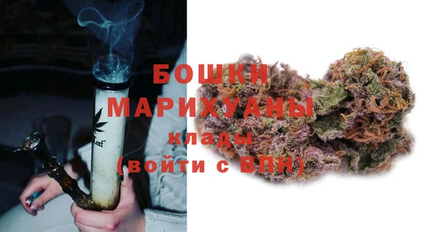 индика Белокуриха