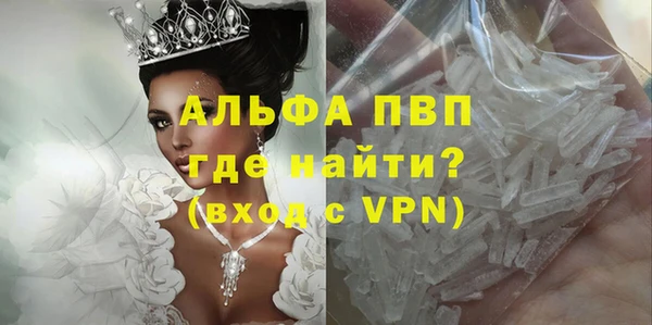 сатива Беломорск